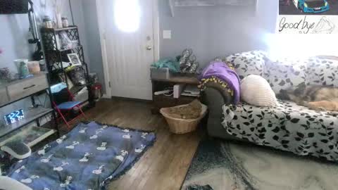 Skittles online show from February 24, 2026, 5:22 pm