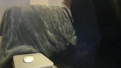 Bigwhitedickdaddy and BabyCakes online show from February 16, 2026, 11:50 am