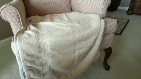 Snapshot of billernest99 chatting on October 1, 2025, 5:52 pm billernest99 online show from October 1, 2025, 5:52 pm