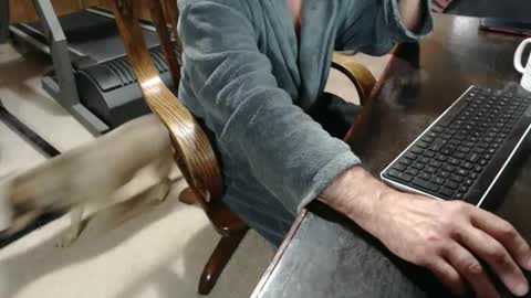 Snapshot of billy471 chatting on February 23, 2025, 10:28 am billy471 online show from February 23, 2025, 10:28 am