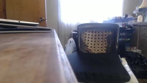 Snapshot of bimbttm chatting on December 19, 2024, 5:50 pm Bimbttm online show from December 19, 2024, 5:50 pm