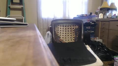 Snapshot of bimbttm chatting on December 20, 2024, 1:00 pm Bimbttm online show from December 20, 2024, 1:00 pm