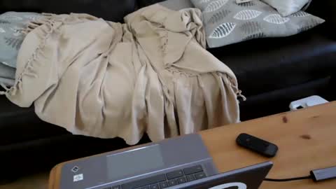 bindmedown online show from January 17, 2025, 10:55 am