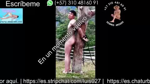 luis027 online show from September 18, 2025, 2:35 am