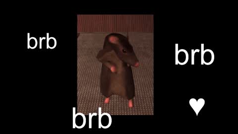  Black Kittie    Wednesday - 1300 - 1900 GMT help me get 100 thumbs up online show from September 9, 2025, 12:15 pm