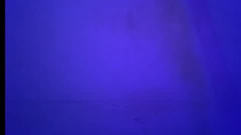 BLACK online show from January 19, 2026, 5:55 am