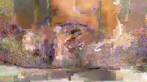 blackbigdickfr online show from December 20, 2025, 12:34 pm