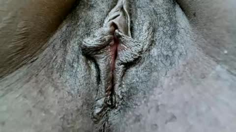 fiona online show from January 25, 2025, 1:19 pm