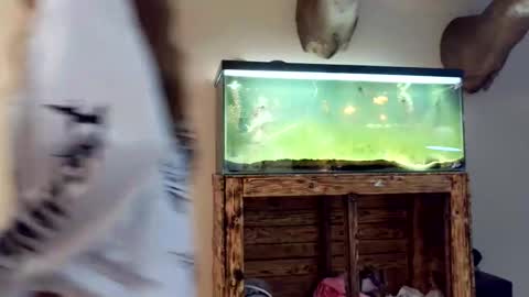 blasianangel444 online show from April 17, 2026, 5:32 am