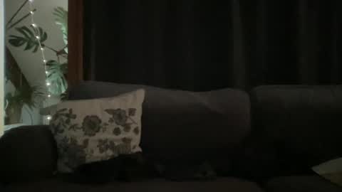 Snapshot of bllyidol chatting on December 18, 2025, 9:04 am BlIdoL online show from December 18, 2025, 9:04 am