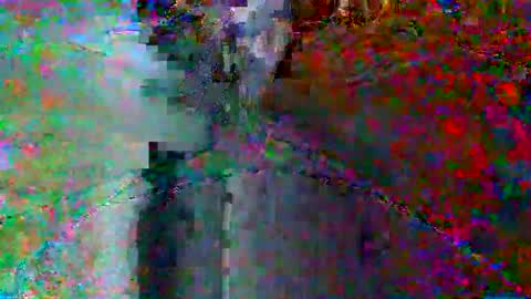 Snapshot of bluegum00 chatting on June 8, 2026, 2:01 am bluegum00 online show from June 8, 2026, 2:01 am