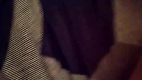 Snapshot of bluerussian332 chatting on December 16, 2025, 7:57 am blue russian online show from December 16, 2025, 7:57 am