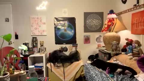 Snapshot of bobbyq2969 chatting on November 13, 2025, 3:38 am bobbyq2969 online show from November 13, 2025, 3:38 am