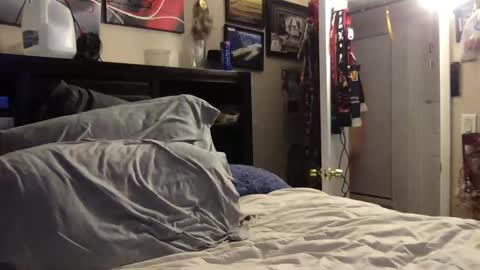 Snapshot of bobs520 chatting on January 8, 2025, 5:37 am Bobby520 online show from January 8, 2025, 5:37 am