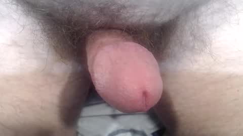 bobswan online show from October 24, 2025, 3:41 pm