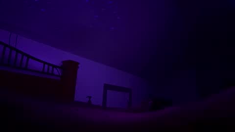 bodiddly64 online show from October 12, 2025, 10:36 am