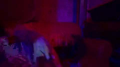 Snapshot of bodyyattiyatti chatting on April 26, 2026, 6:49 pm Sailorartemis online show from April 26, 2026, 6:49 pm