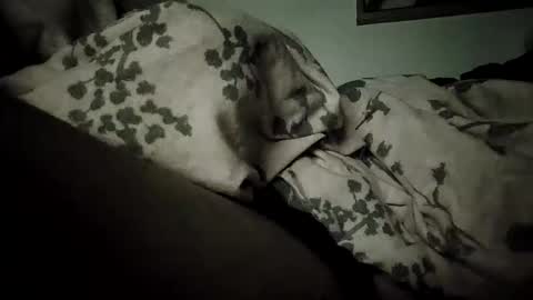 Bomberto online show from February 19, 2026, 9:11 pm