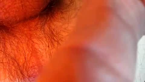 Snapshot of bonnie312 chatting on September 18, 2025, 4:09 pm bonnie312 online show from September 18, 2025, 4:09 pm