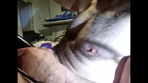 bonop1 online show from March 19, 2026, 10:19 am