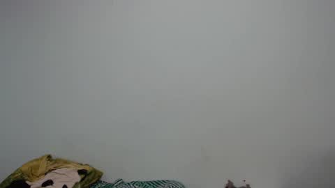 Luciana independent model online show from December 26, 2024, 8:00 pm