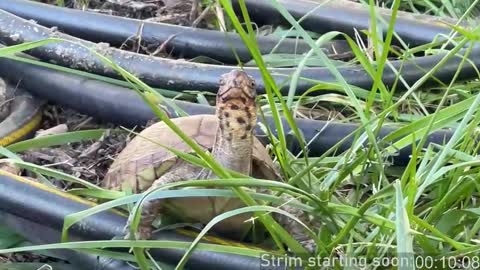 Booker Baxton online show from October 30, 2025, 2:57 am