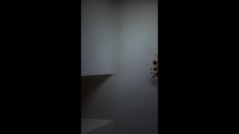 Snapshot of boris96213 chatting on June 4, 2026, 1:33 am boris96213 online show from June 4, 2026, 1:33 am