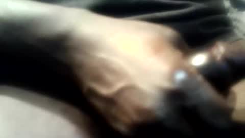 botofogo online show from December 1, 2025, 5:12 am