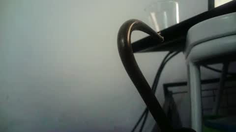 BottoMMlad online show from January 9, 2025, 8:01 pm
