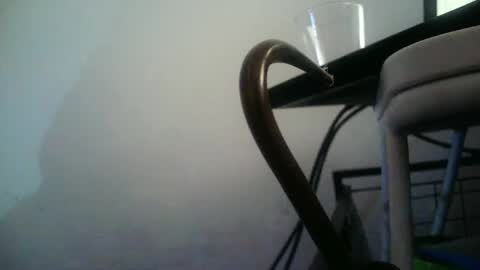 BottoMMlad online show from January 10, 2025, 12:38 am