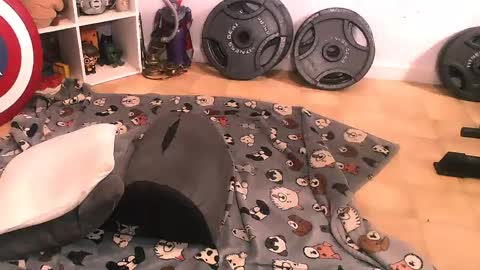 Pumpkin Butt online show from April 11, 2026, 7:51 pm