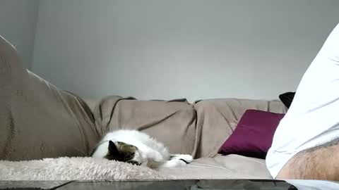 Snapshot of boy_aroundtheworld chatting on April 15, 2026, 1:29 pm Dan online show from April 15, 2026, 1:29 pm