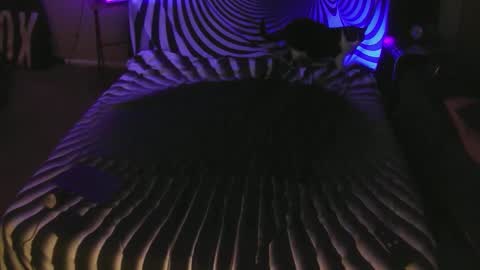 Snapshot of boyblond36 chatting on March 1, 2025, 10:34 am Slutty Stud online show from March 1, 2025, 10:34 am