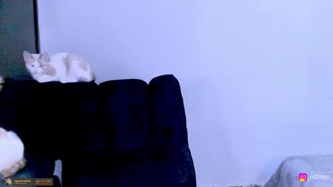 Snapshot of boylatin_777 chatting on November 24, 2025, 3:06 am miguel online show from November 24, 2025, 3:06 am