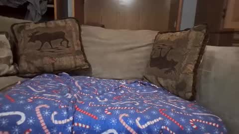 smoothslutfordaddy online show from February 12, 2026, 6:58 pm