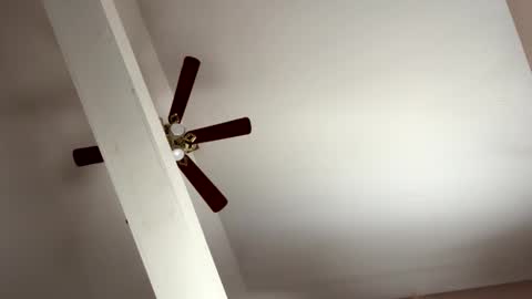 Snapshot of boysetsfire34 chatting on November 8, 2025, 5:23 pm boysetsfire34 online show from November 8, 2025, 5:23 pm