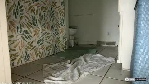 boysetsfire34 online show from February 18, 2026, 5:53 pm