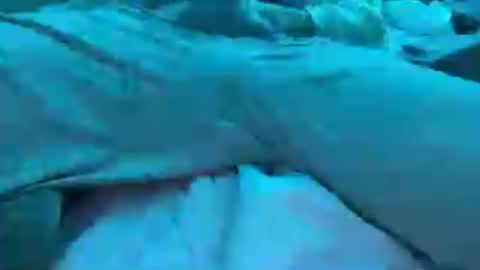 BoyToyBenny online show from June 25, 2026, 7:24 am