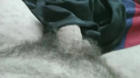 bpllpd online show from January 16, 2026, 3:49 pm