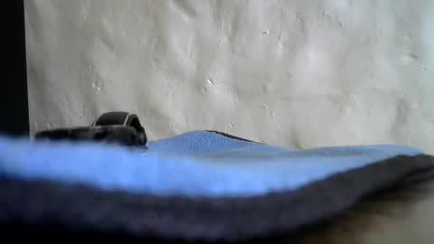 Snapshot of brad2717 chatting on December 18, 2024, 12:40 pm brad2717 online show from December 18, 2024, 12:40 pm