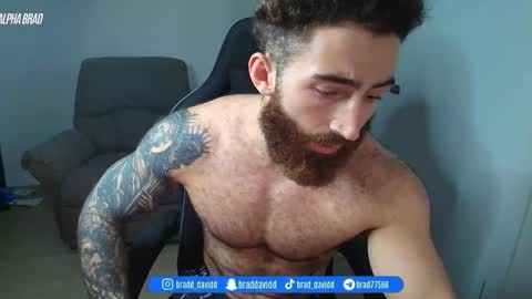 Snapshot of bradtrainn chatting on May 17, 2026, 2:09 am bradtrainn online show from May 17, 2026, 2:09 am