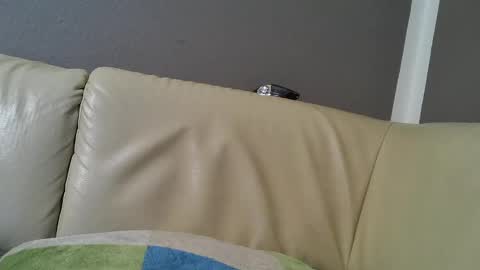 bramer8787 online show from February 9, 2025, 5:29 am