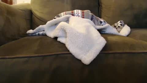 Snapshot of brandondot chatting on December 31, 2024, 8:04 am brandondot online show from December 31, 2024, 8:04 am