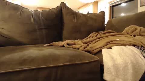 Snapshot of brandondot chatting on February 3, 2025, 5:51 am brandondot online show from February 3, 2025, 5:51 am