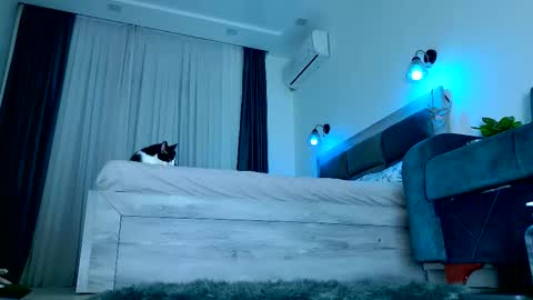 Brenda online show from December 13, 2025, 7:42 pm