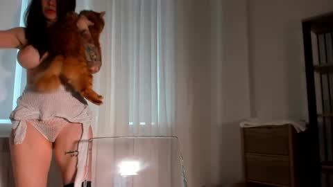 Snapshot of brianadiamondxxx chatting on February 4, 2025, 9:17 am brianadiamondxxx online show from February 4, 2025, 9:17 am