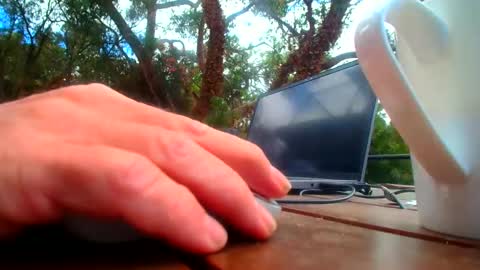 Snapshot of bridie3079 chatting on February 19, 2026, 1:01 am Fun Monster online show from February 19, 2026, 1:01 am