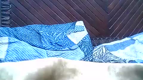 Josh online show from December 28, 2024, 9:40 pm