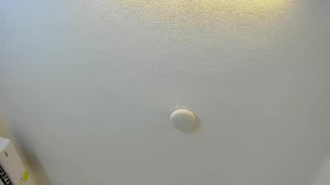 Brittany  online show from March 1, 2026, 8:00 pm