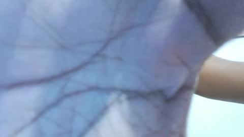 Snapshot of brownguy2505 chatting on January 19, 2026, 12:53 pm brownguy2505 online show from January 19, 2026, 12:53 pm